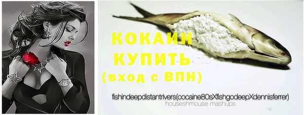 дмт Козловка
