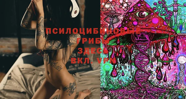 спайс Козельск