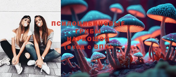 дмт Козловка