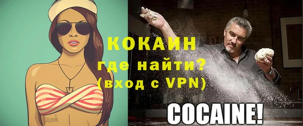 дмт Козловка